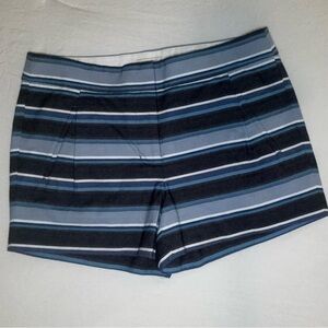 J. Crew Blue and White Shorts with Nautical Stripes